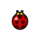 Ladybug