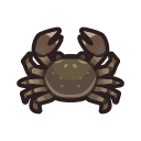 Mitten Crab