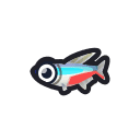 Neon Tetra