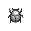 Scarab Beetle