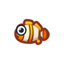 Clown Fish